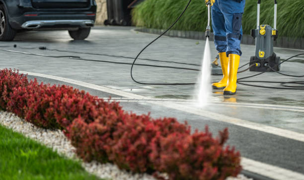 Best Sidewalk and Walkway Cleaning  in Sonoma, CA